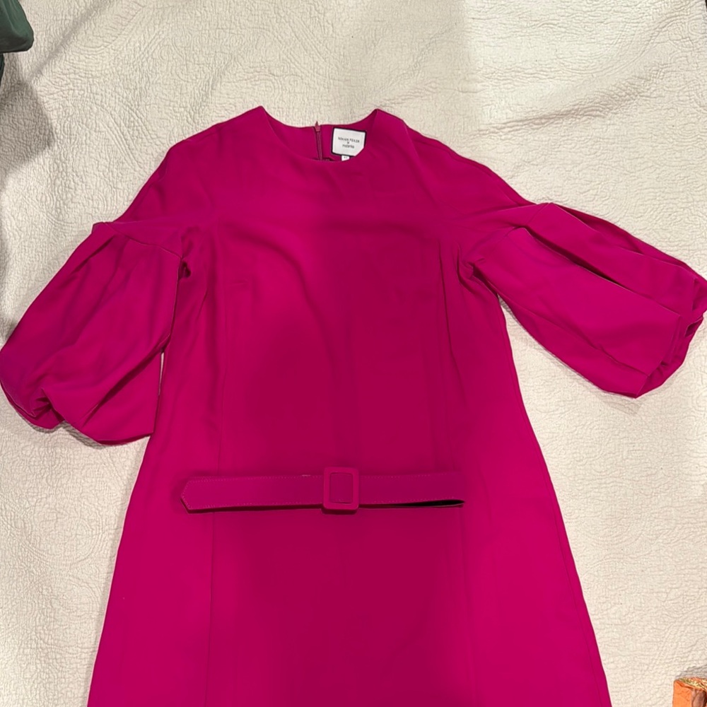 Pink A-Line Dress with Bishop Sleeves